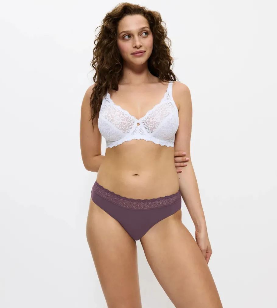 Hipster>Triumph FEEL OF MODAL PurpleDusk