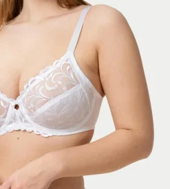 Fuller Cups|Underwired Bras><noscript><img width=