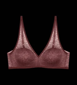 Fuller Cups|Non-wired Bras>Triumph SIGNATURE SHEER Decadentchocolate